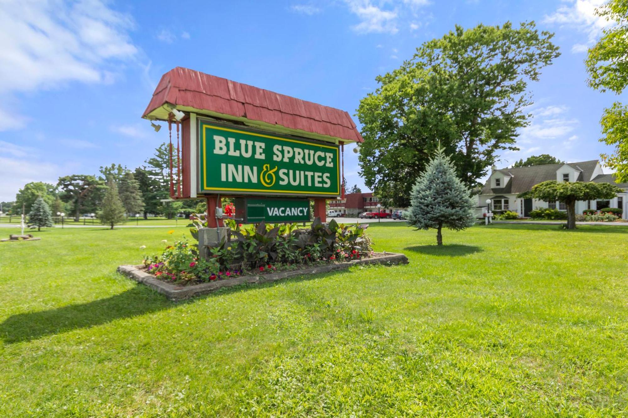 Blue Spruce Inn & Suites Valatie Buitenkant foto
