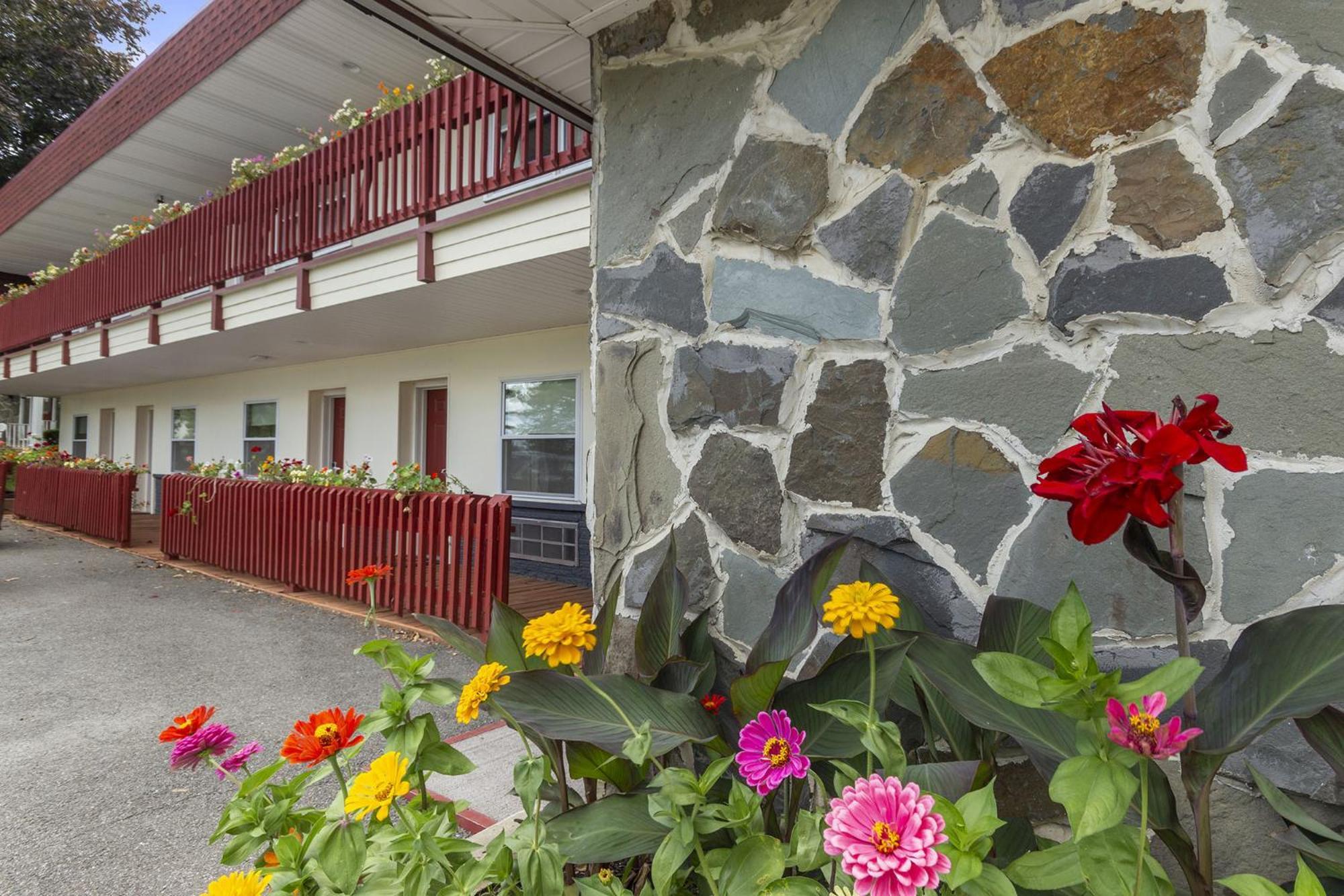 Blue Spruce Inn & Suites Valatie Buitenkant foto