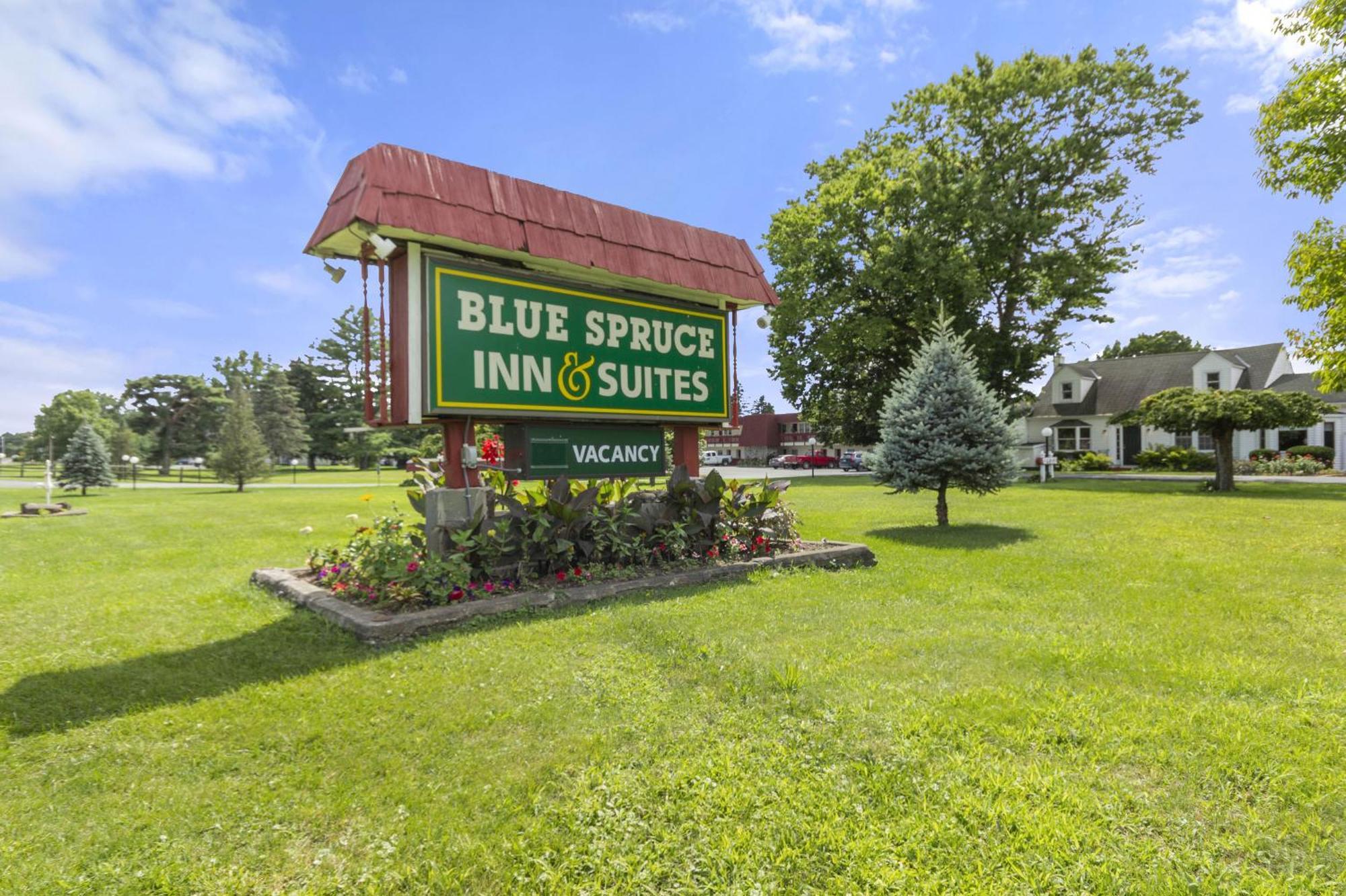 Blue Spruce Inn & Suites Valatie Buitenkant foto